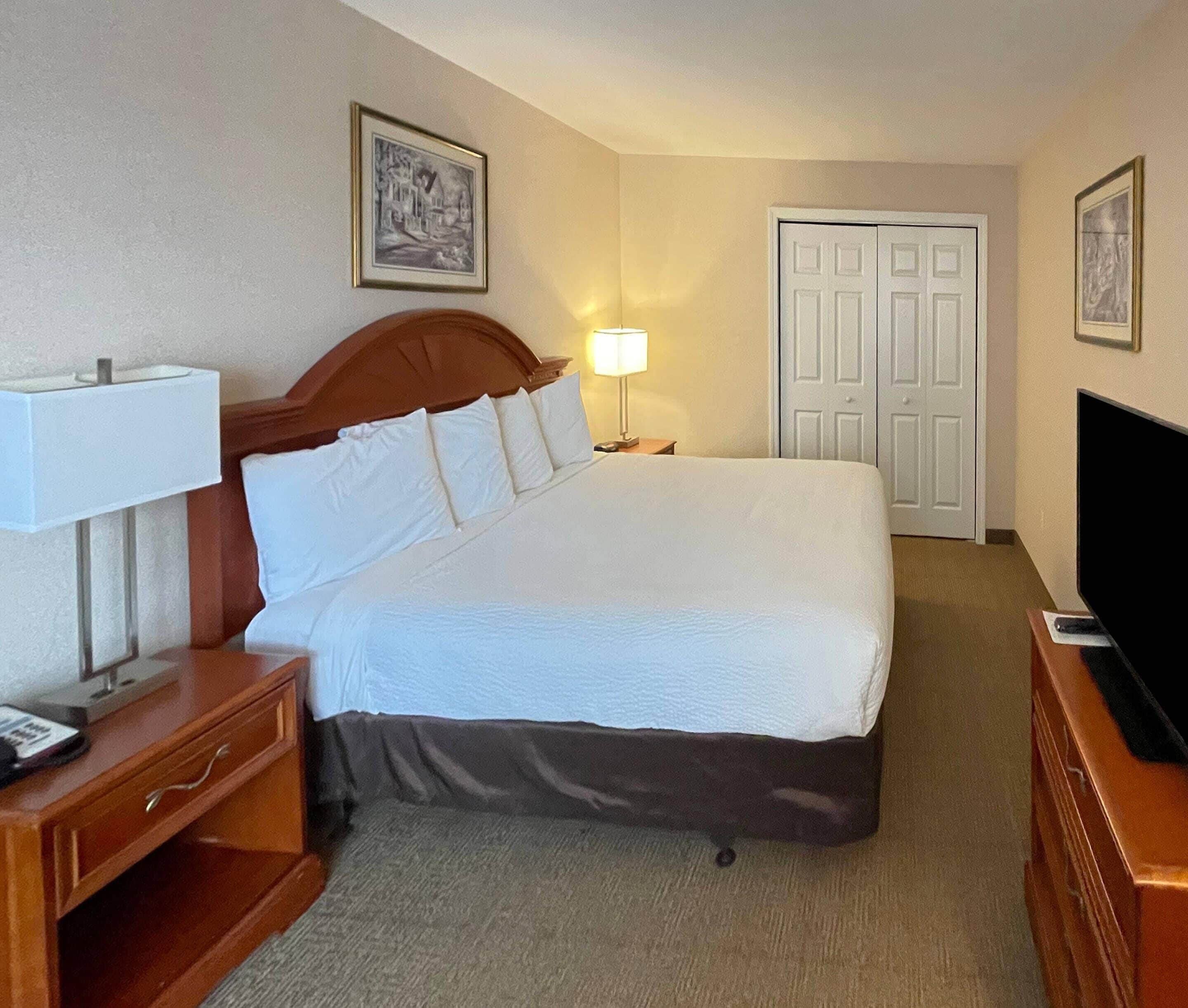 Een hotelkamer met een bed, een nachtkastje met een lamp, een televisie en een deur.