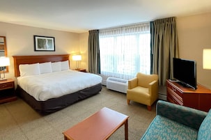 Suite, 1 cama de matrimonio grande con sofá cama, no fumadores (Studio) | Mobiliario individual, escritorio, espacio para trabajar con un portátil