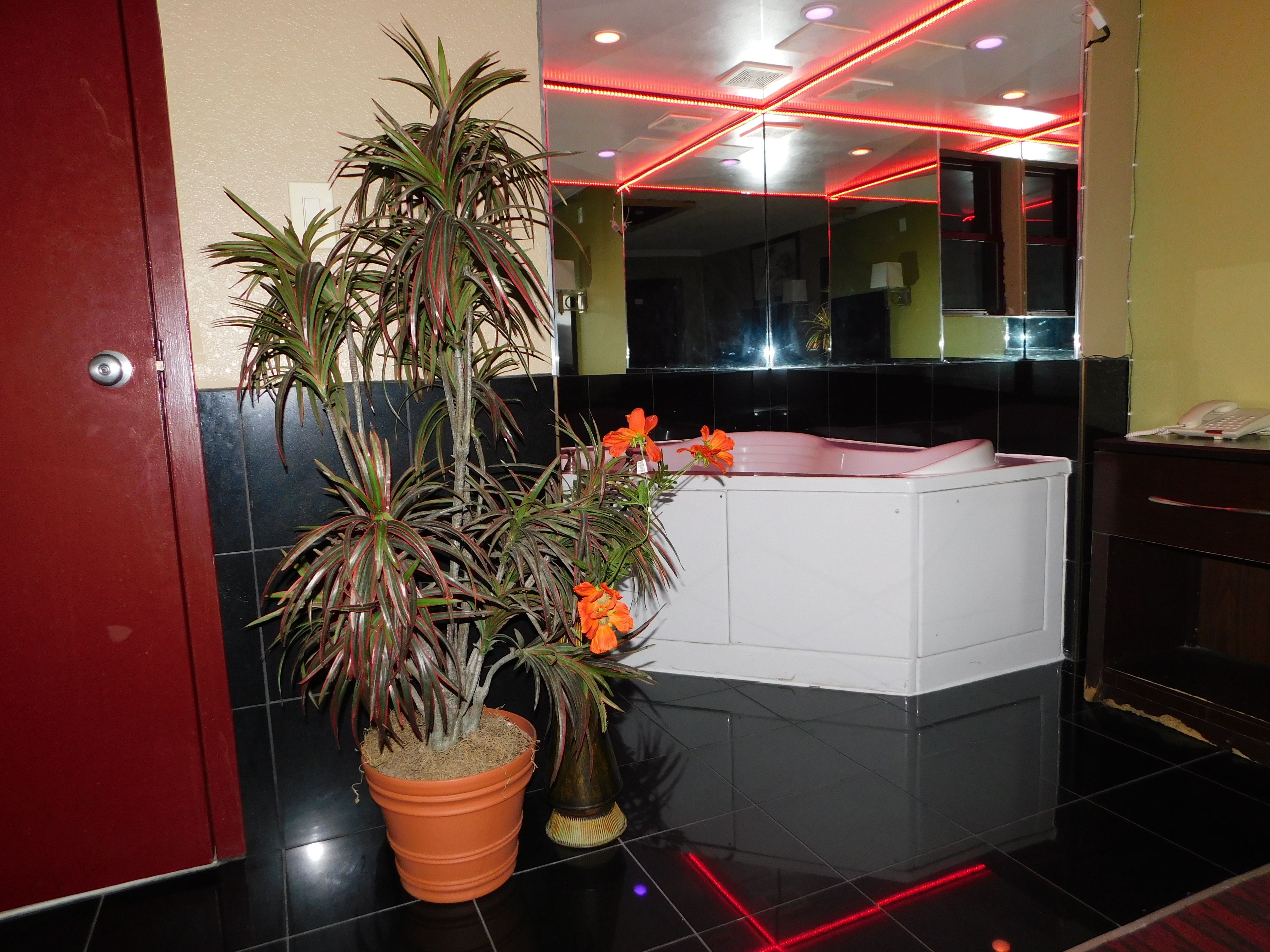 Una habitación con una planta grande en maceta, una bañera blanca y una puerta roja.