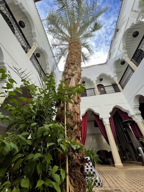 Vista desde la habitación