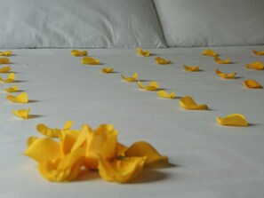 Room - Titan Hotel & Spa (Bogotá)