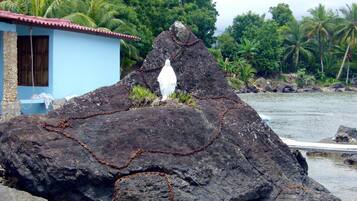 Playa privada, traslado desde/hacia la playa, buceo, snorkel