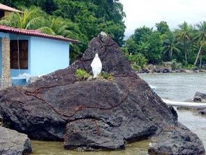 Private beach, beach shuttle, scuba diving, snorkelling