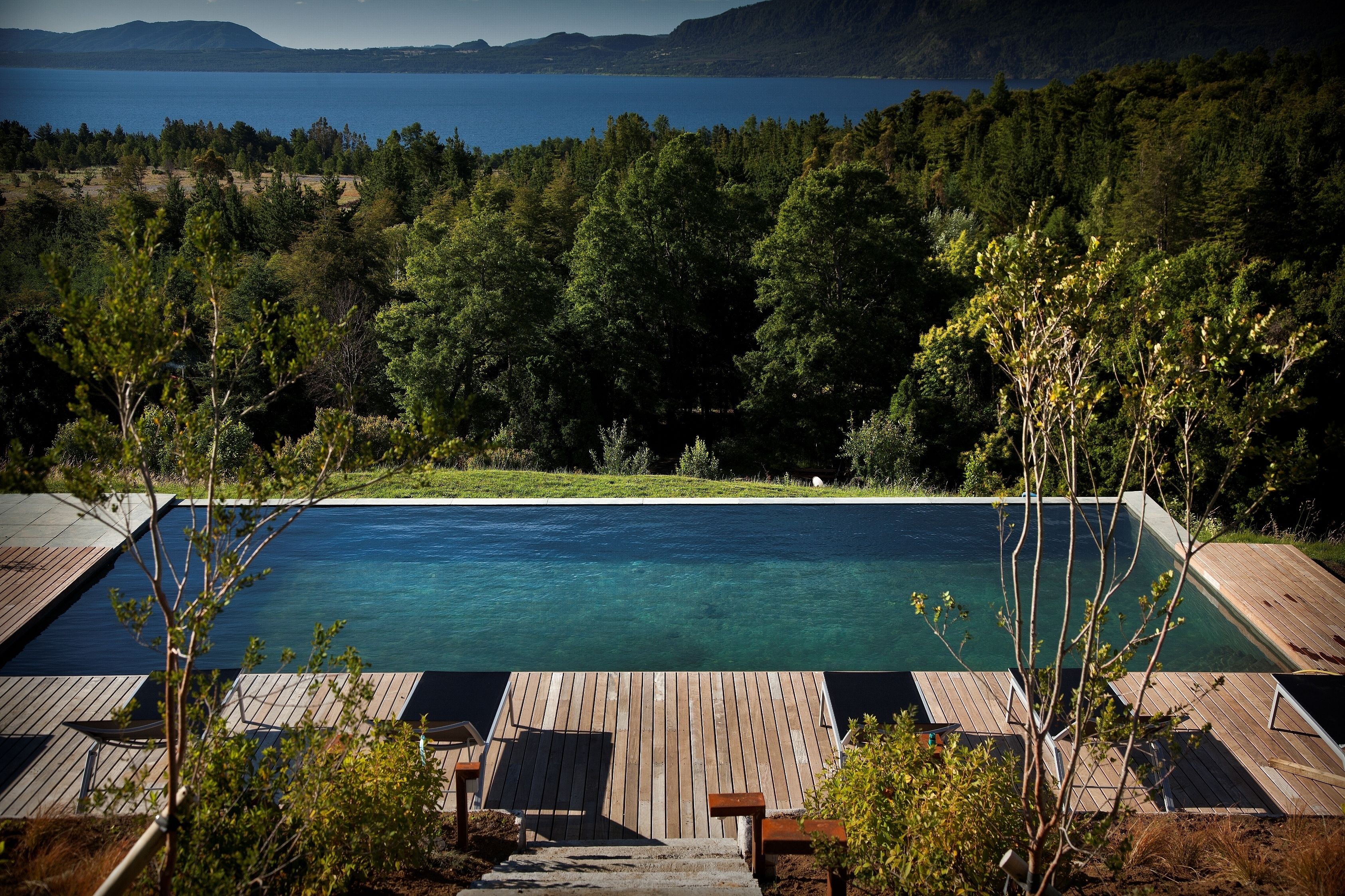 Blick auf den Garten
