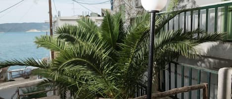 Vista frontal de la propiedad