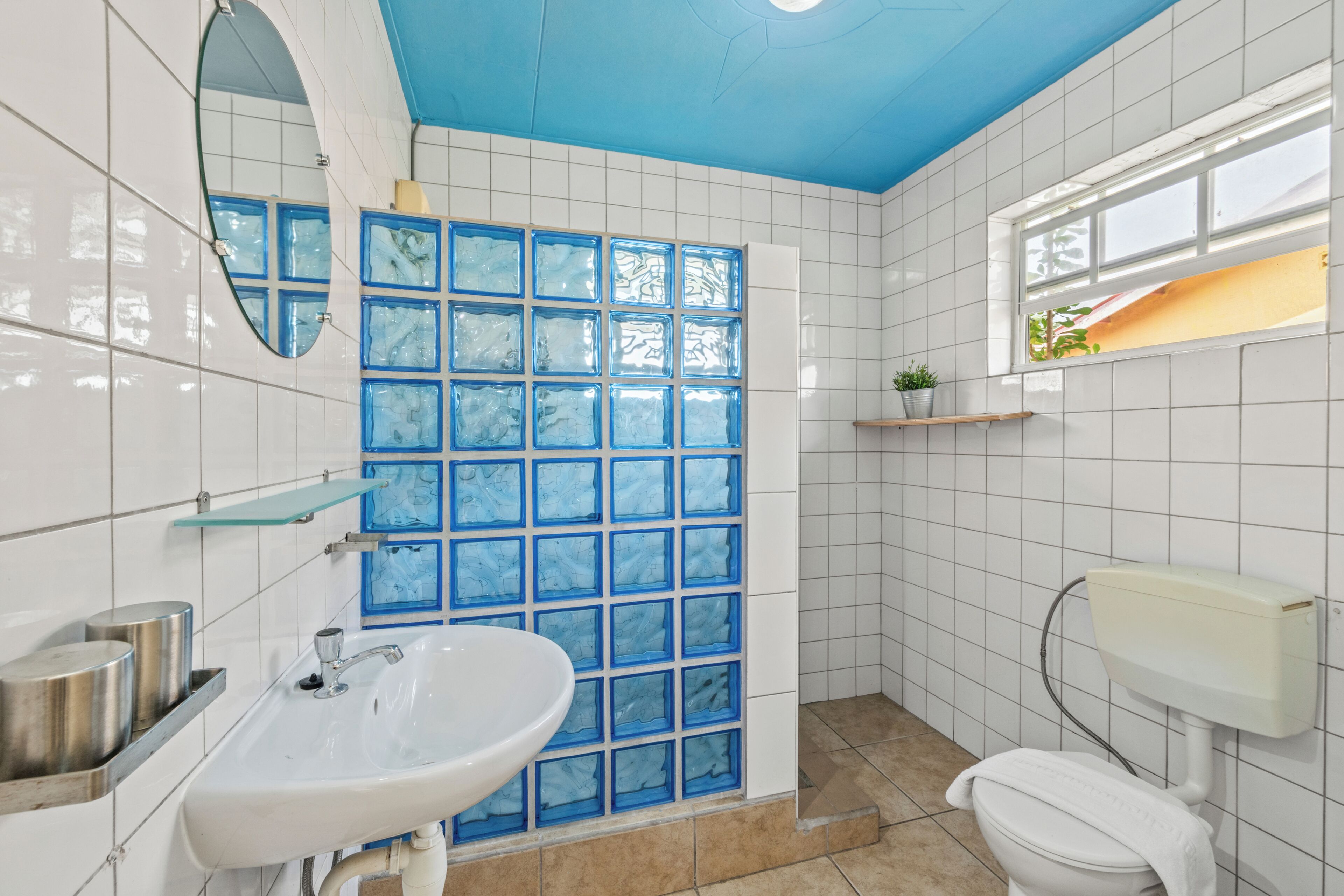 Un baño con lavamanos blanco, un espejo, inodoro, ducha con paneles de vidrio azul y una ventana con planta.