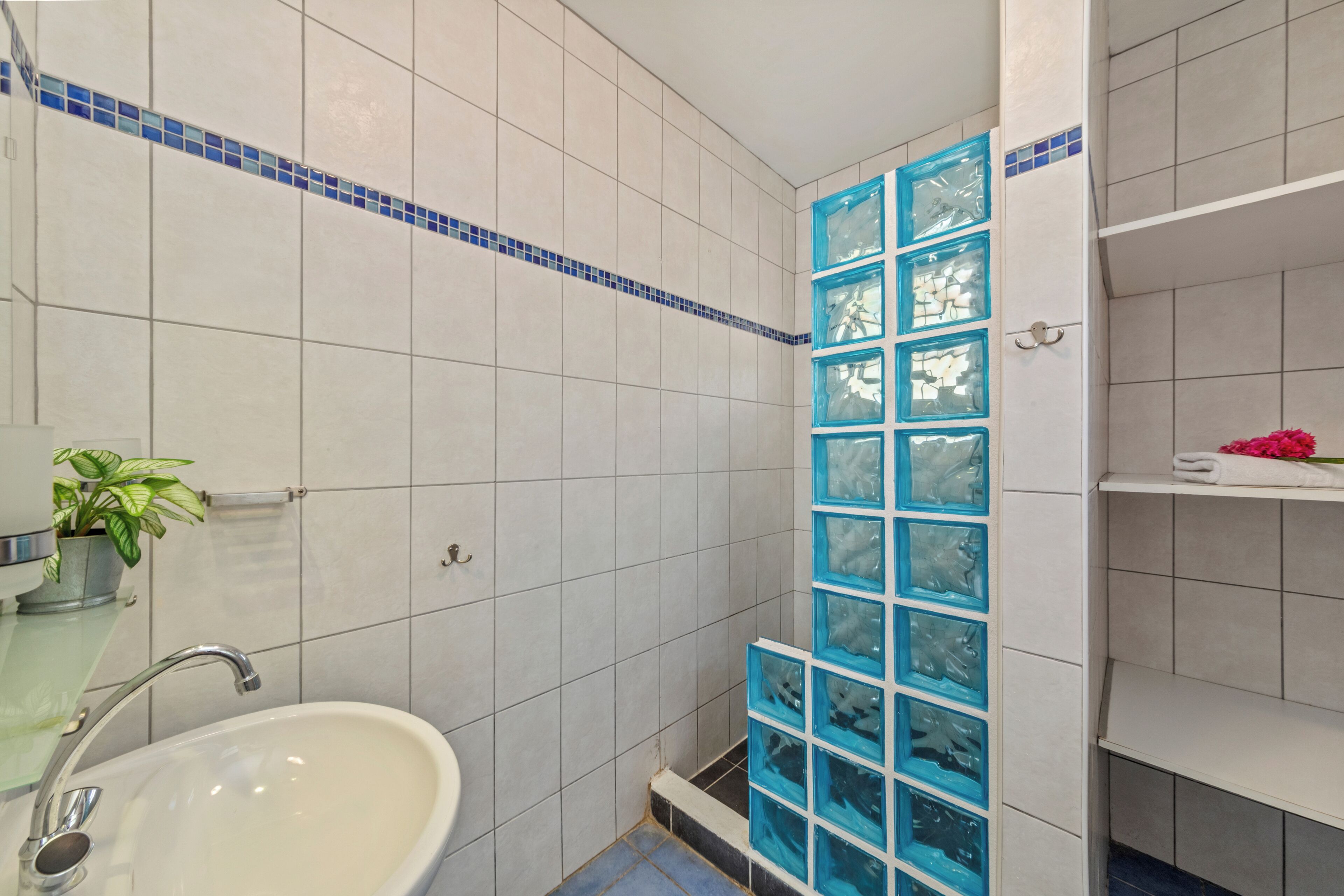 Ein Badezimmer mit Waschbecken in Weiß, einer Duschkabine aus Glas und einem Blumentopf.