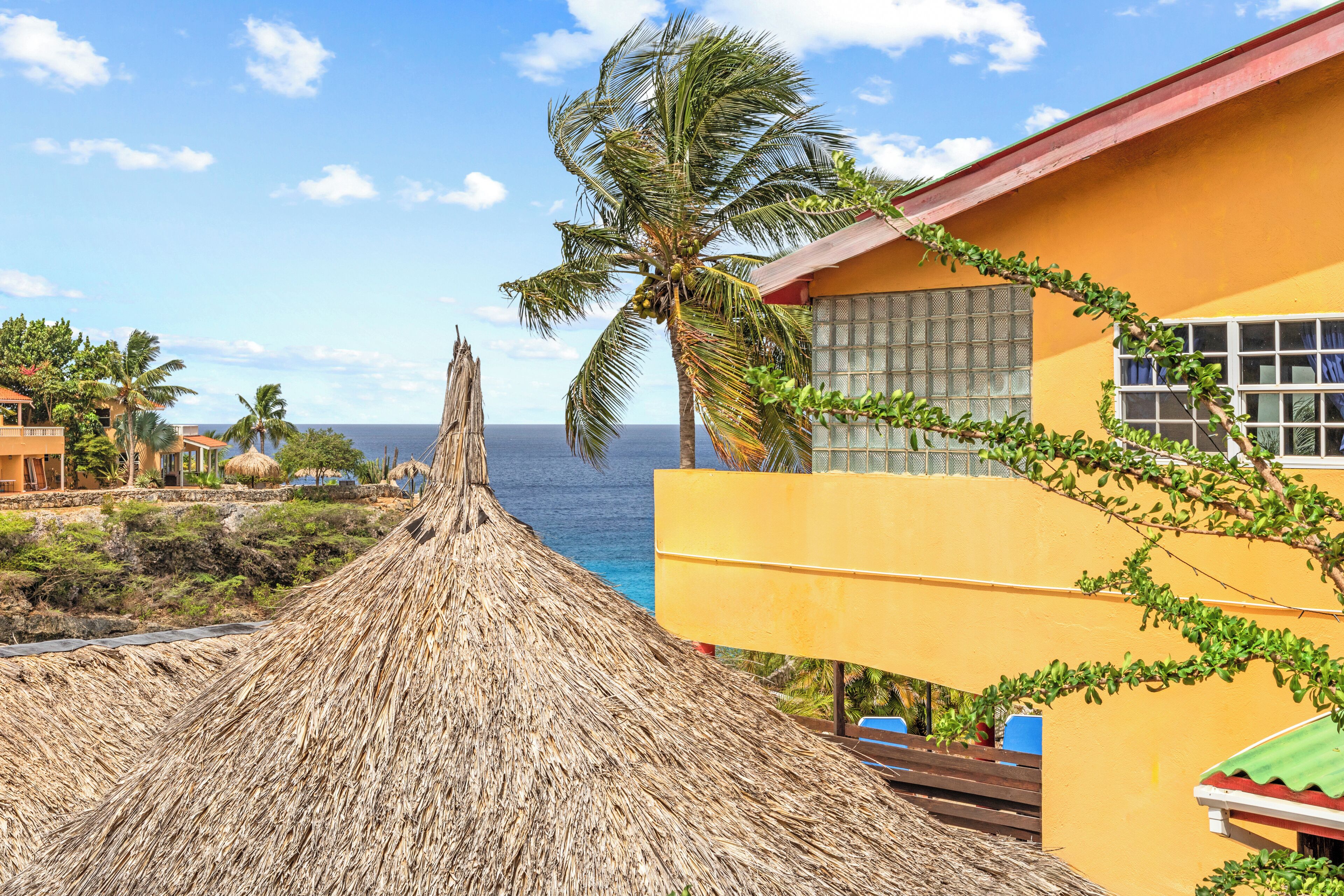 A beachside hotel with a thatched roof, palm trees, and a view of the ocean.