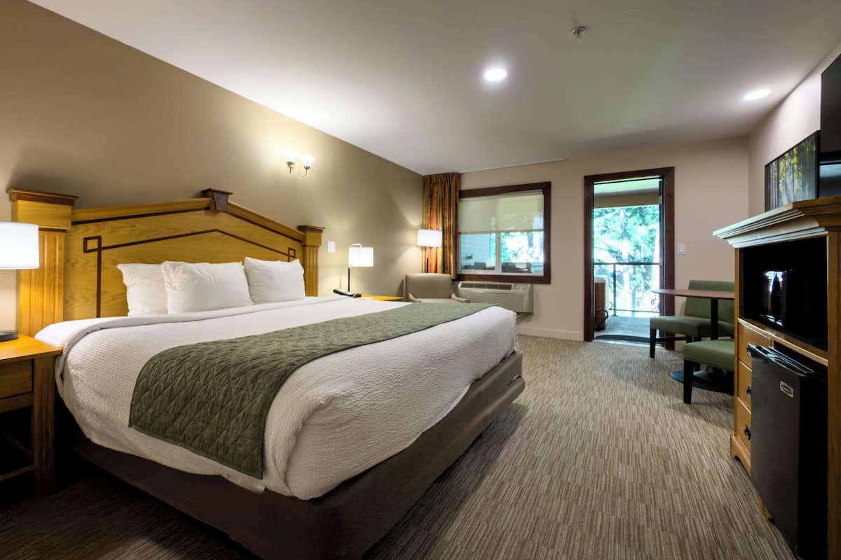 A hotel room with a large bed, a television, a desk, and a chair.