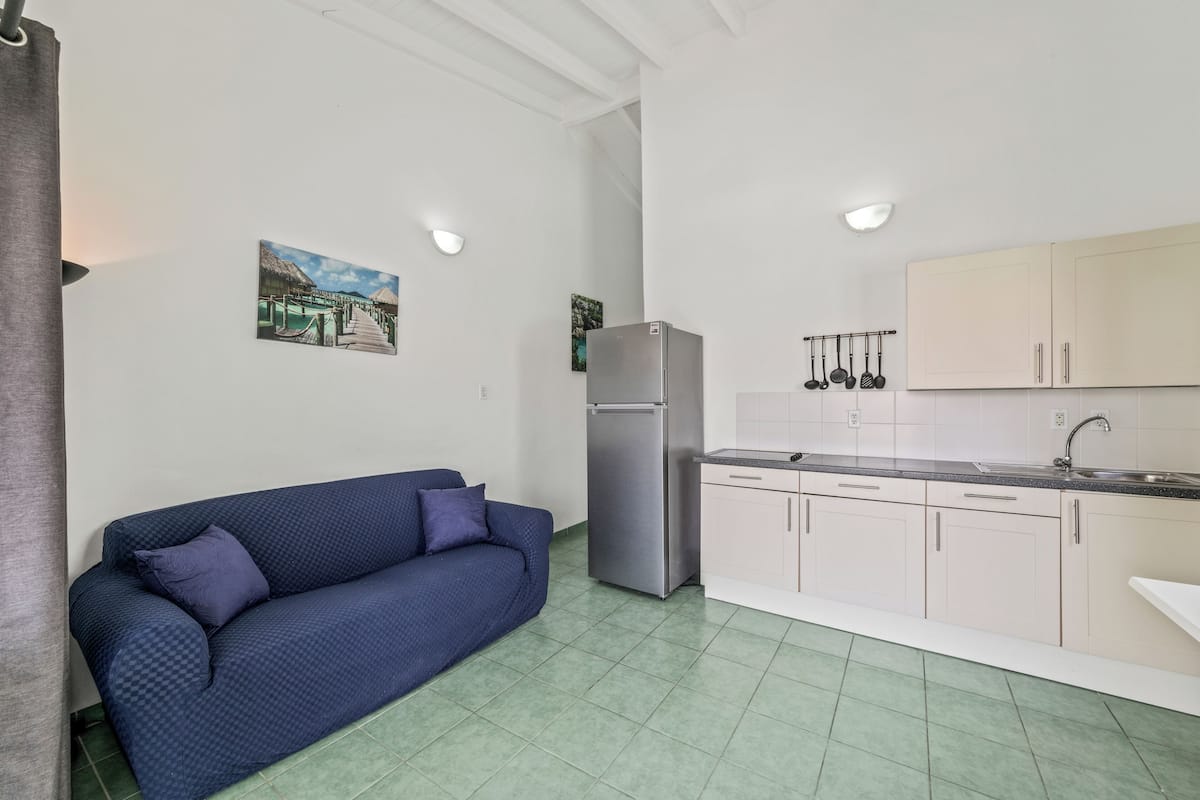 apartment, 1 bedroom, pool view | private kitchen | full-sized fridge, stovetop, coffee/tea maker, electric kettle