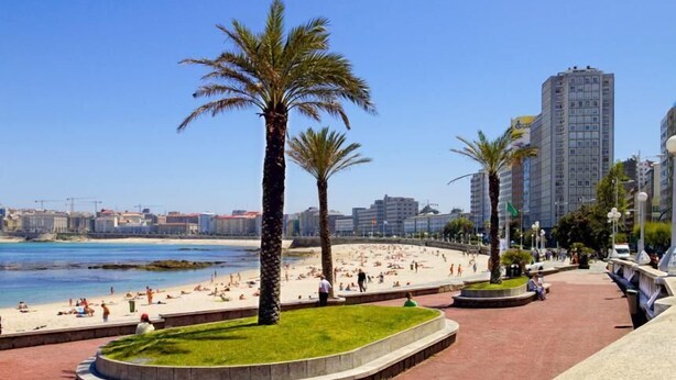 Un paseo marítimo frente a la playa, con palmeras, arena y un horizonte urbano al fondo.