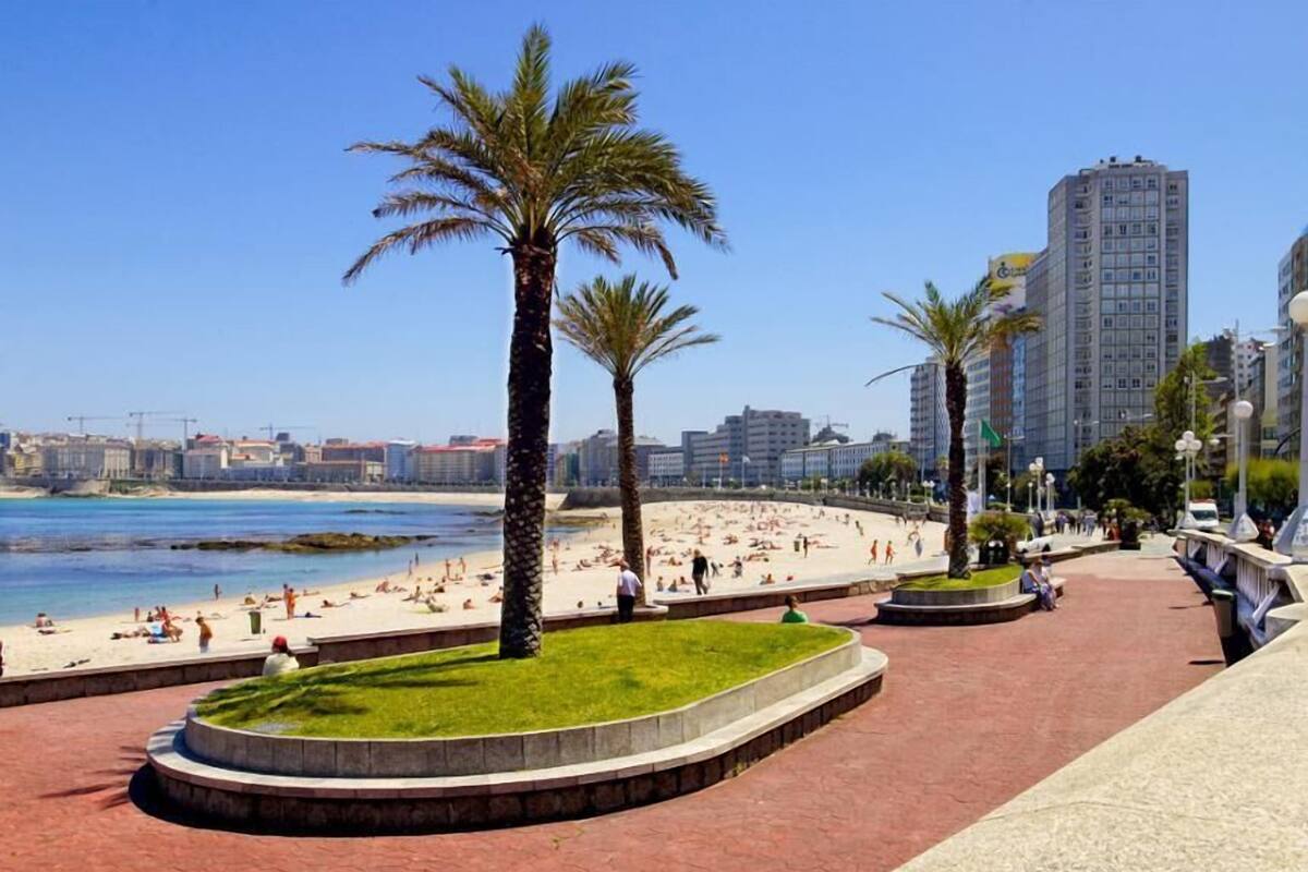 A beachside promenade with palm trees, a sandy beach, and a cityscape in the background.