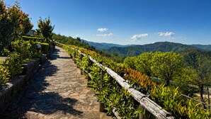 A stone pathway leading through a vineyard with wooden railings and a view of distant mountains.