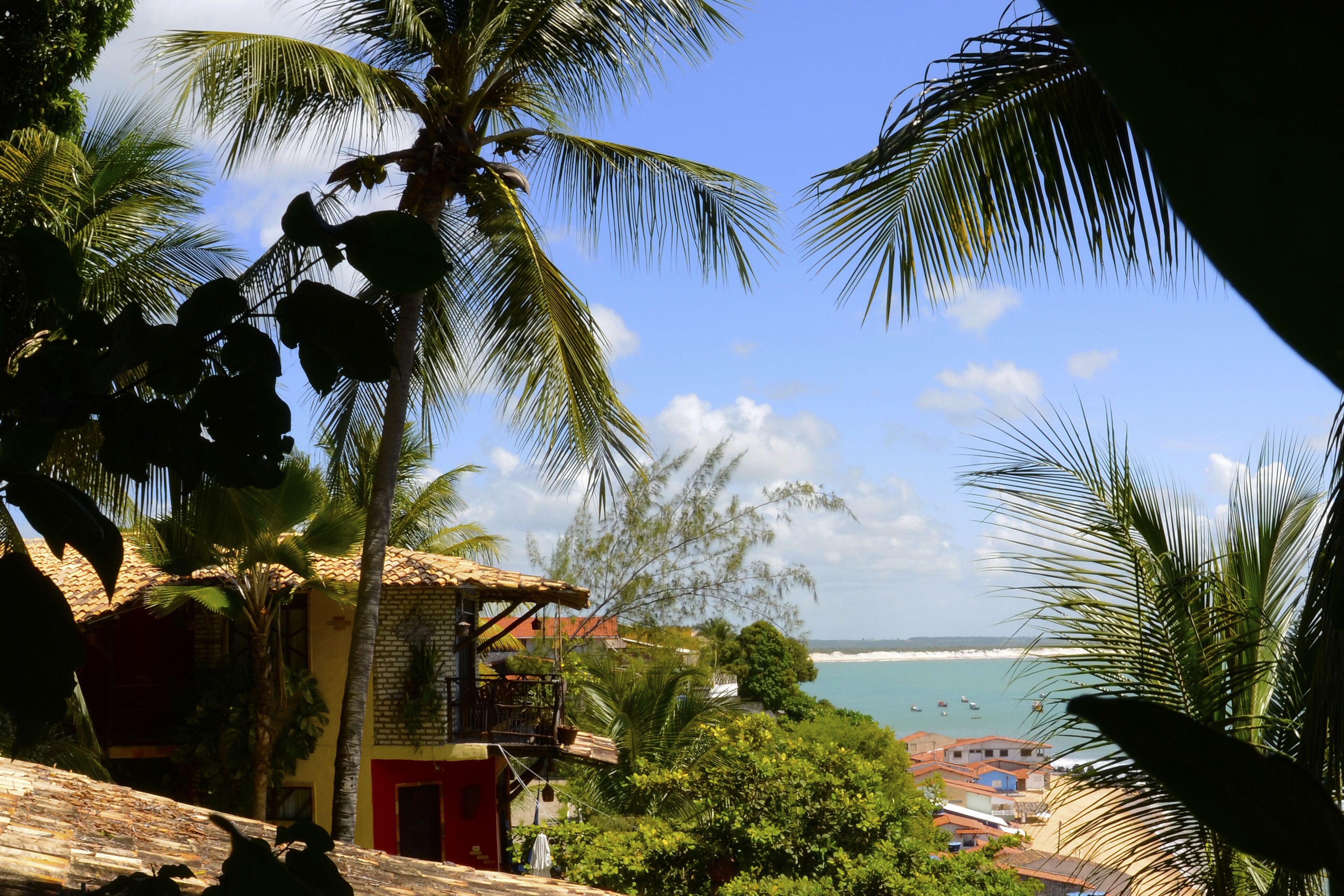 Vista desde la propiedad