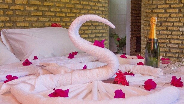 A bed with a swan-shaped towel, rose petals, and a bottle of champagne. - Pousada Imperio do Sol (Tibau do Sul)