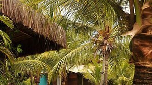 Exterior - Siri Paraíso Hotel (Touros)