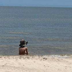 Câu cá