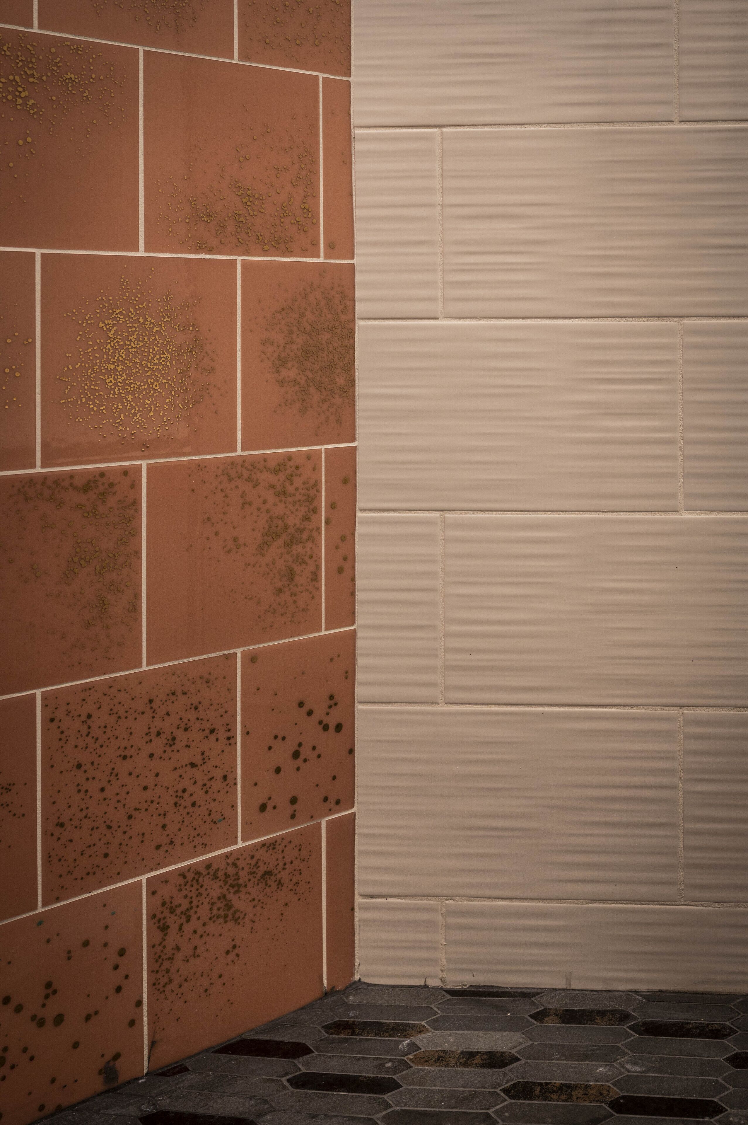 Una esquina de habitación con pared de azulejos y panel texturizado.