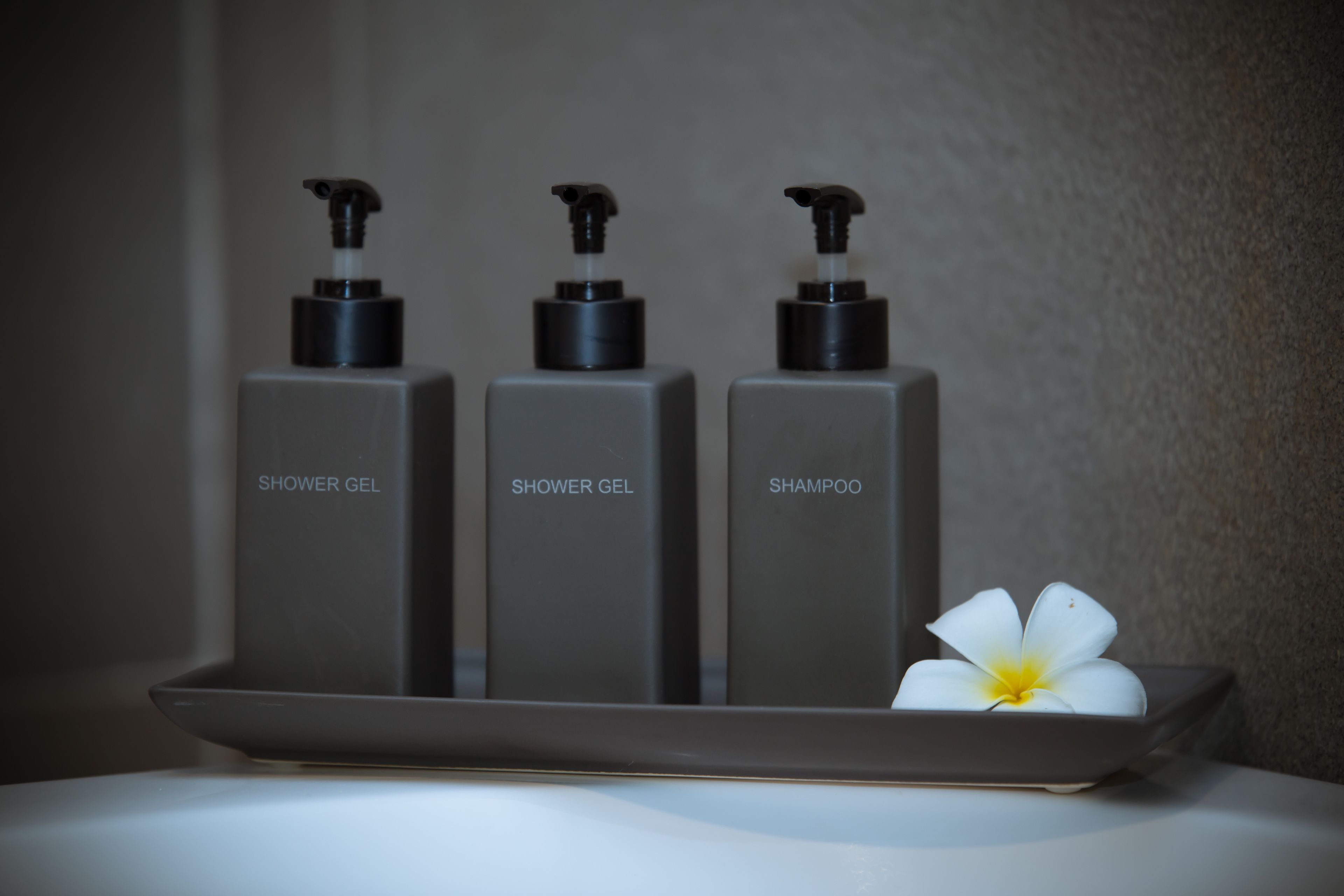 free toiletries, hair dryer, bathrobes, slippers