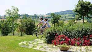 Ein Gartenpfad mit Steinrand, umgeben von üppigem Grün und roten Blüten.