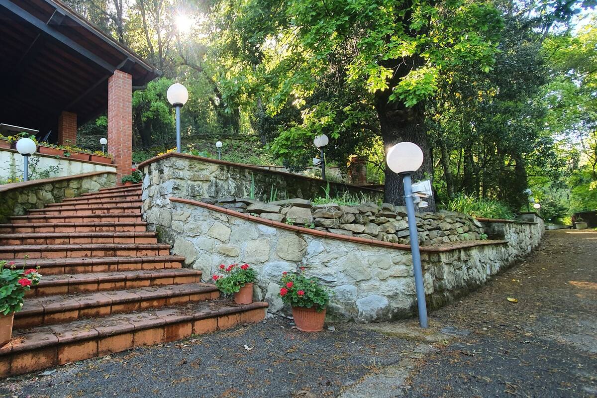 A stone staircase leading to a building with a covered entrance, surrounded by greenery and potted plants.