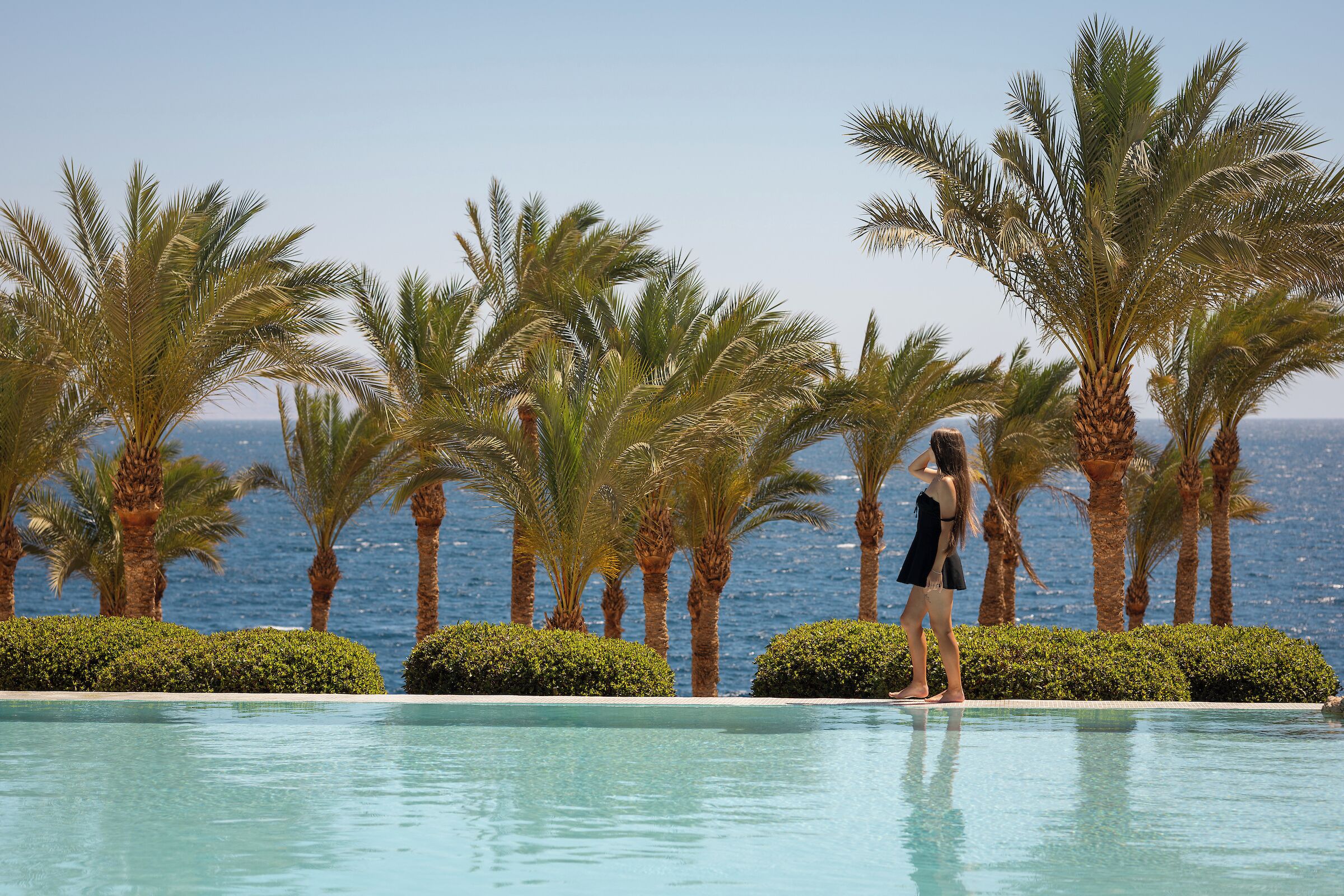 A pool with palm trees and a view of the sea.