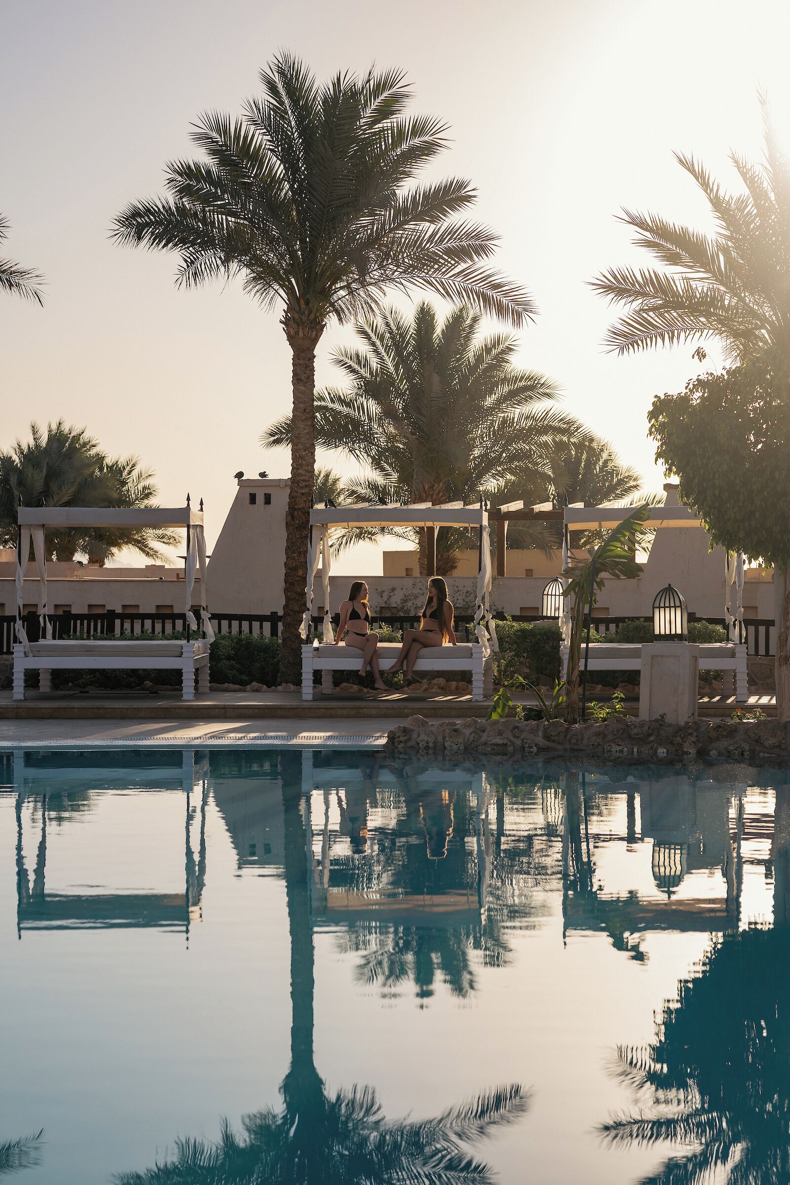 A pool area with palm trees and a person sitting on a bench.