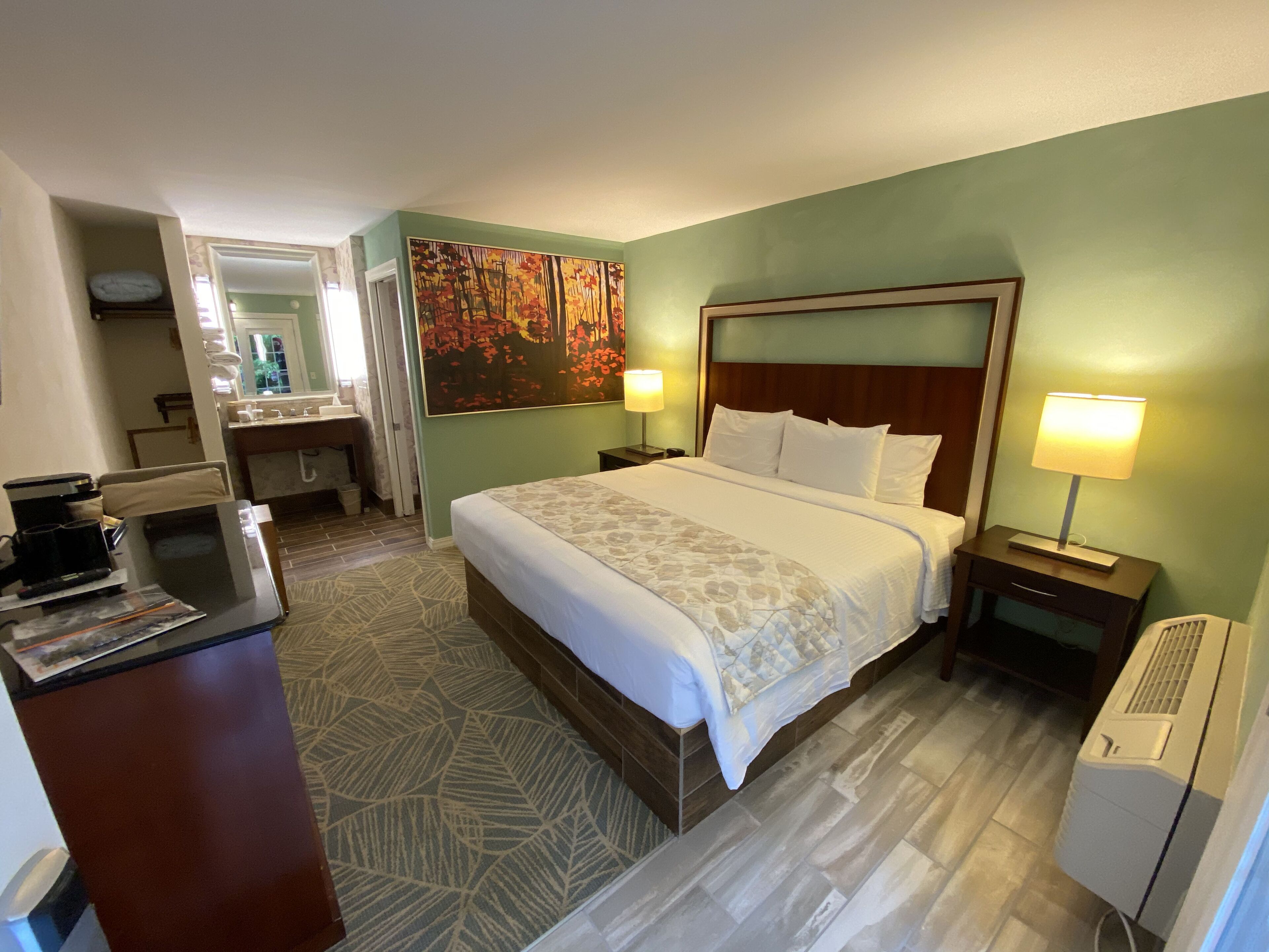 Una habitación de hotel con cama, escritorio, silla, espejo, un cuadro y un calentador.