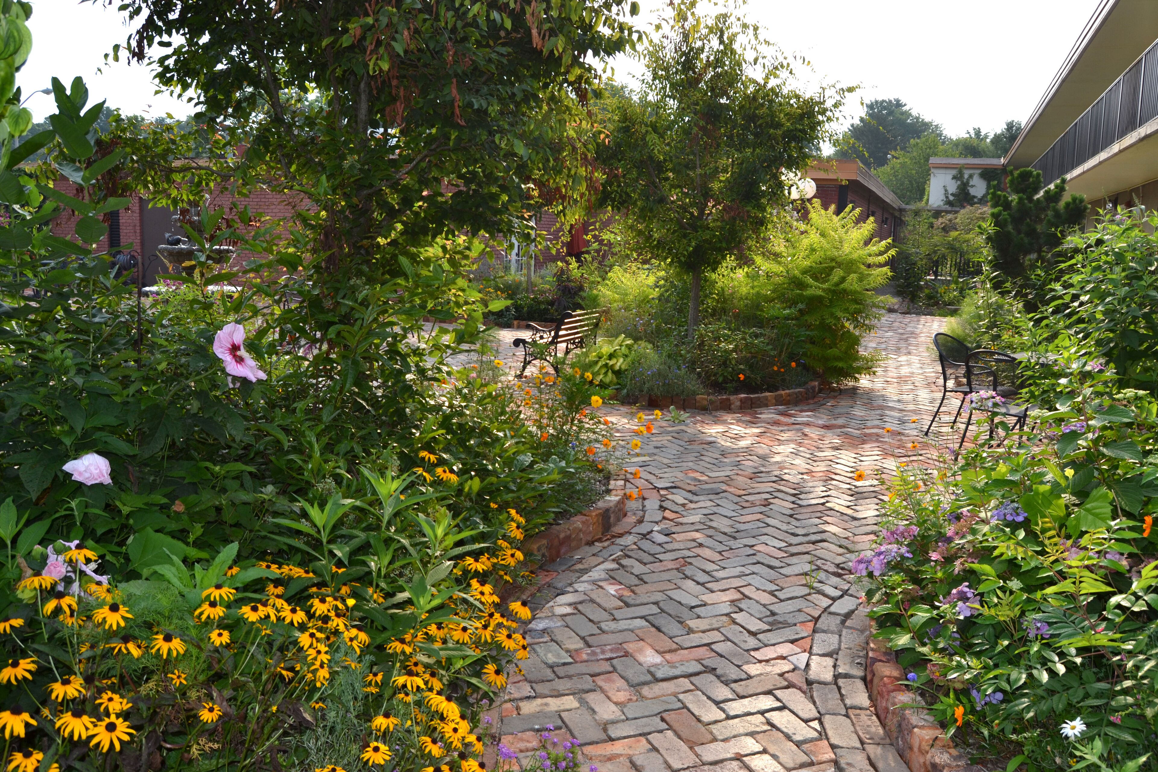 A paved garden path with benches, surrounded by various flowering plants and trees.