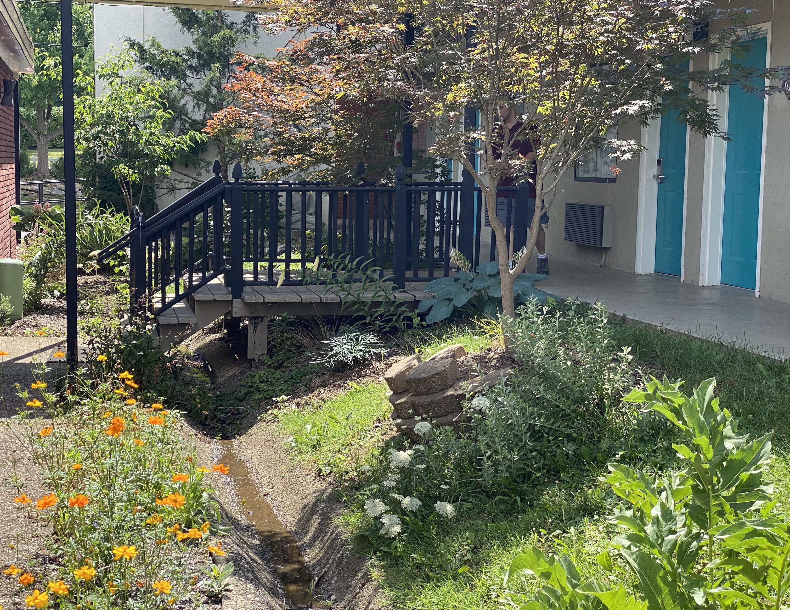 A garden with a wooden bridge, a small stream, and various plants.