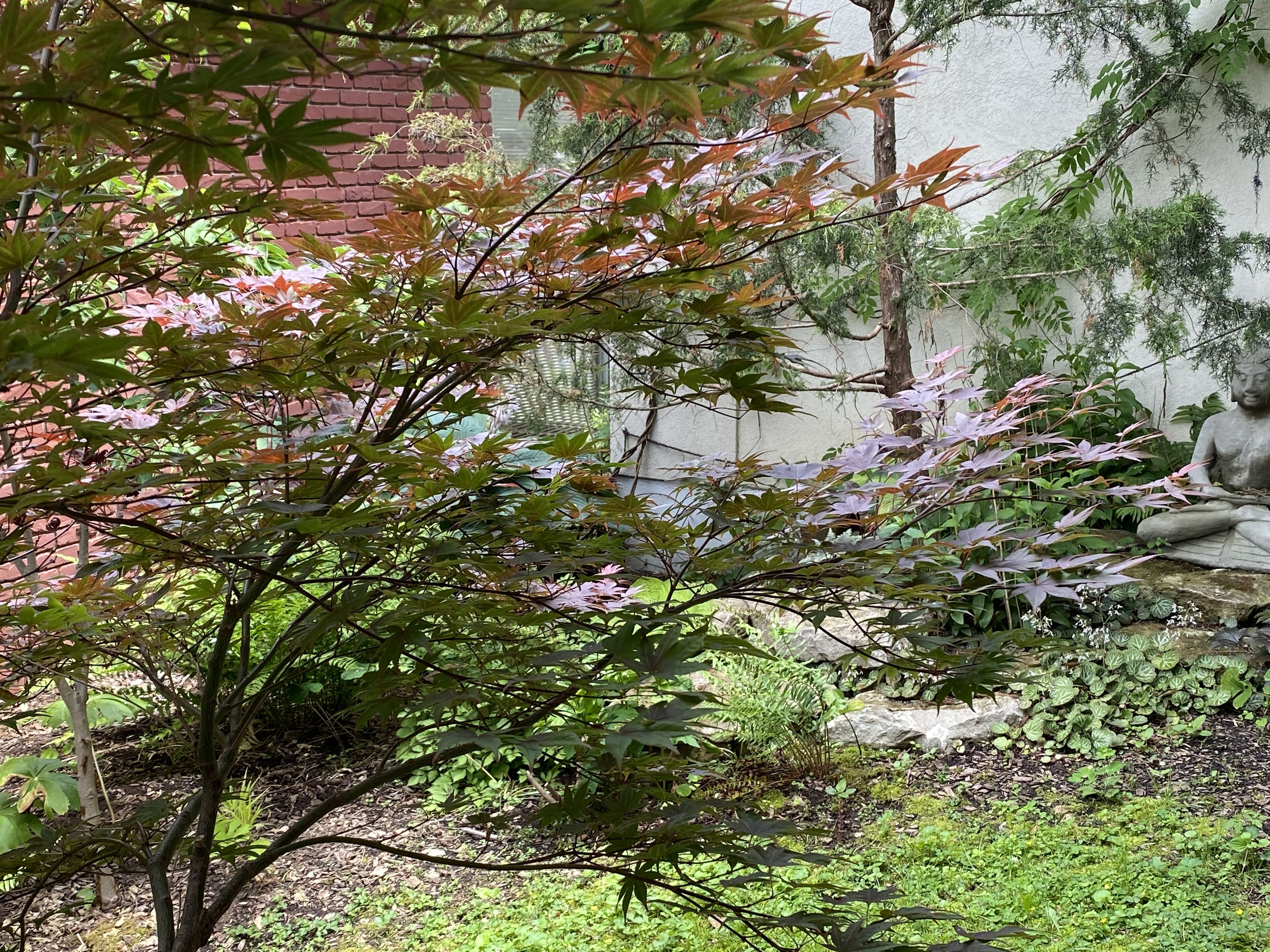 A garden with a statue, a brick wall, and various plants.