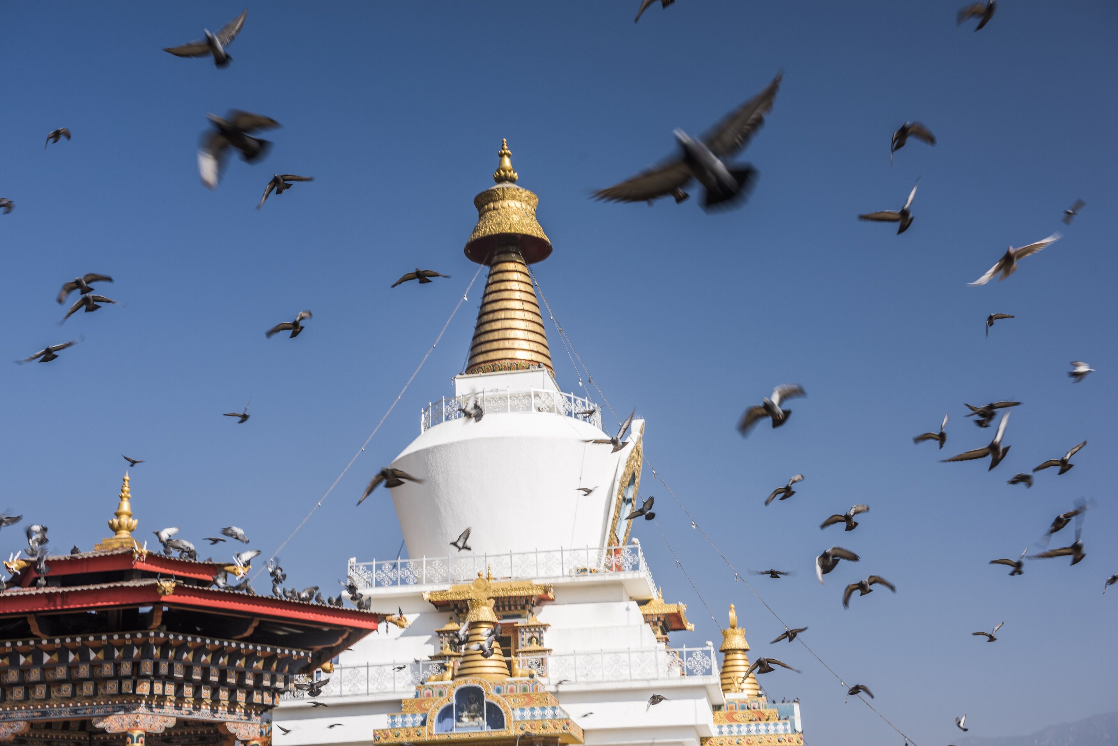 Uma grande stupa branca com detalhes dourados, rodeada por um edifício tradicional com desenhos elaborados.