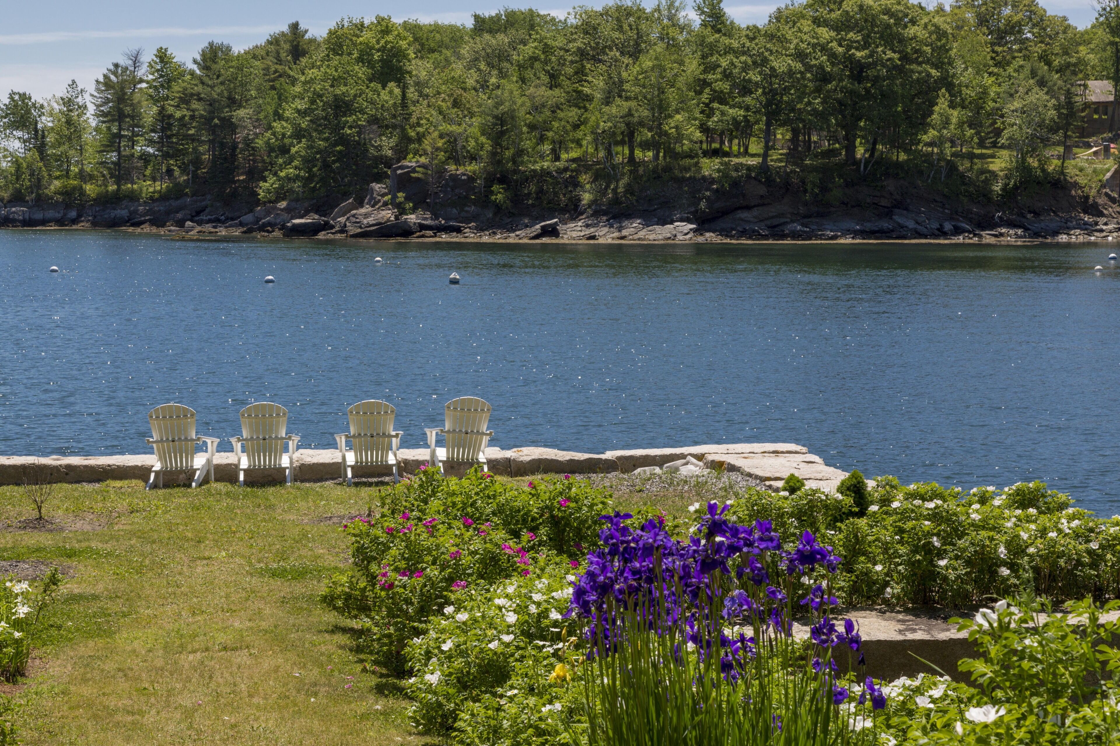 A lakeside view with a row of white chairs facing the water, surrounded by lush greenery and purple flowers.