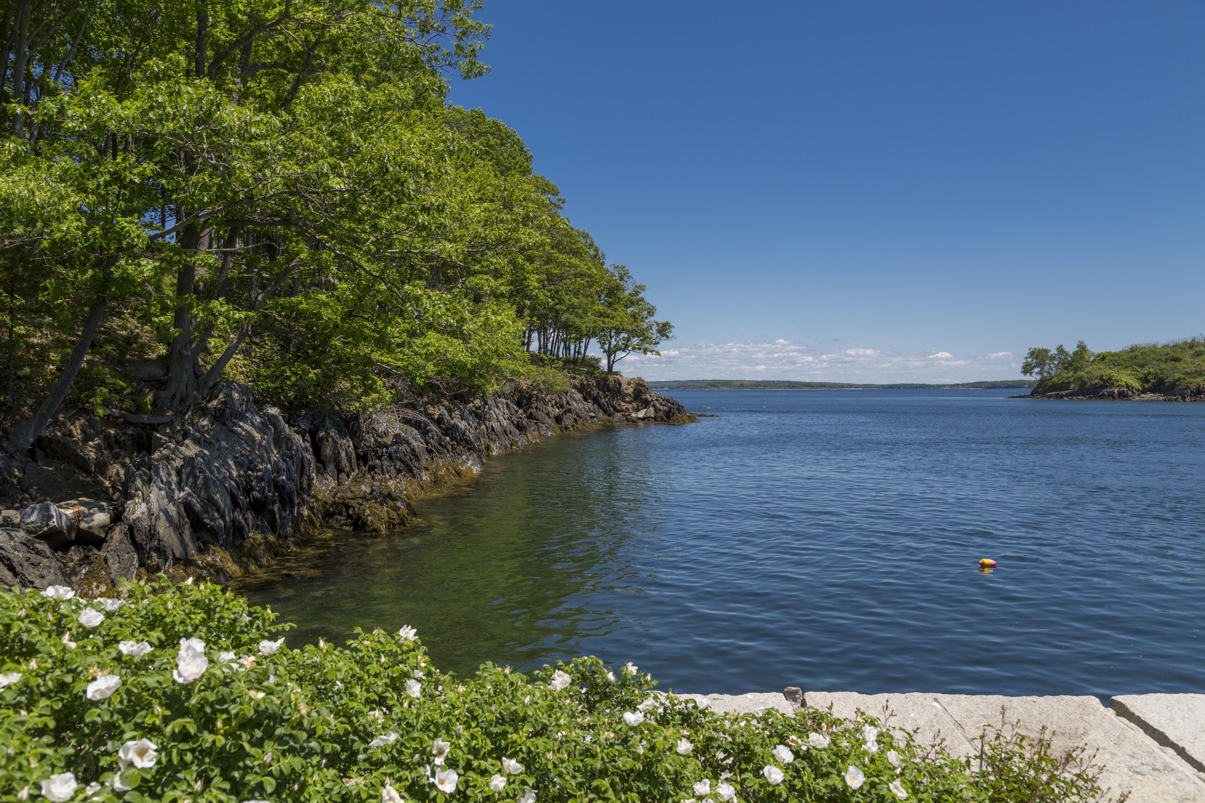 A calm lake with a rocky shoreline and lush greenery.