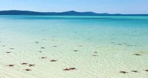 Beach - Phu Quoc Village (Phu Quoc)