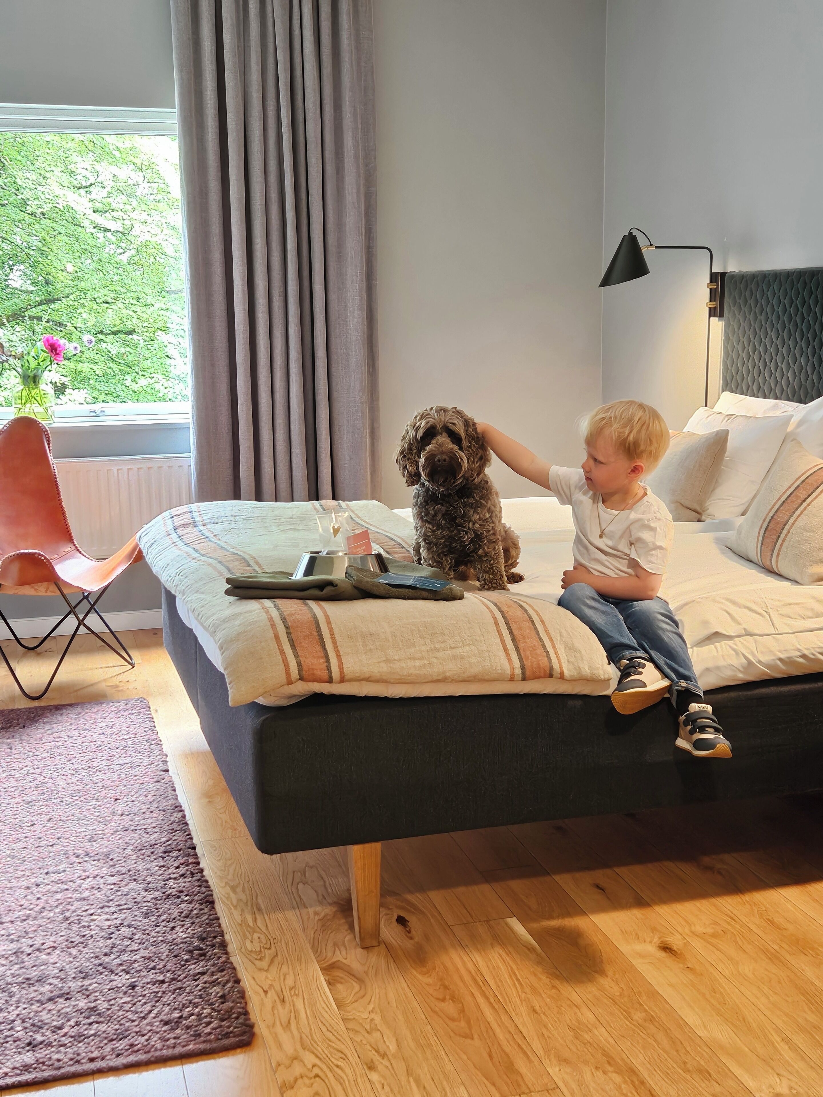 Ett barn sitter på en säng tillsammans med en hund, en lampa och ett fönster med gardiner.