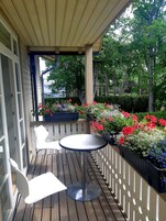 Vista desde la habitación