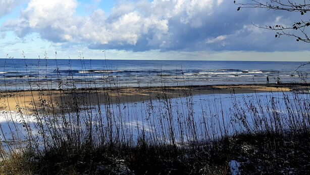 Een strand met golven, een heldere lucht en begroeiing op de voorgrond.