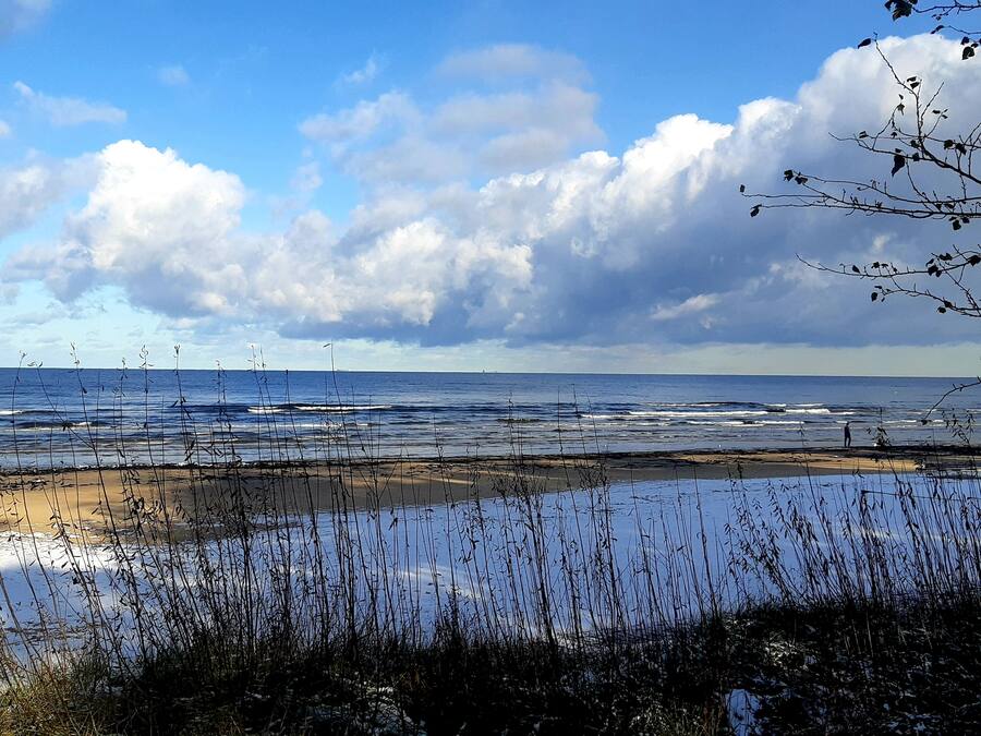 Water view
