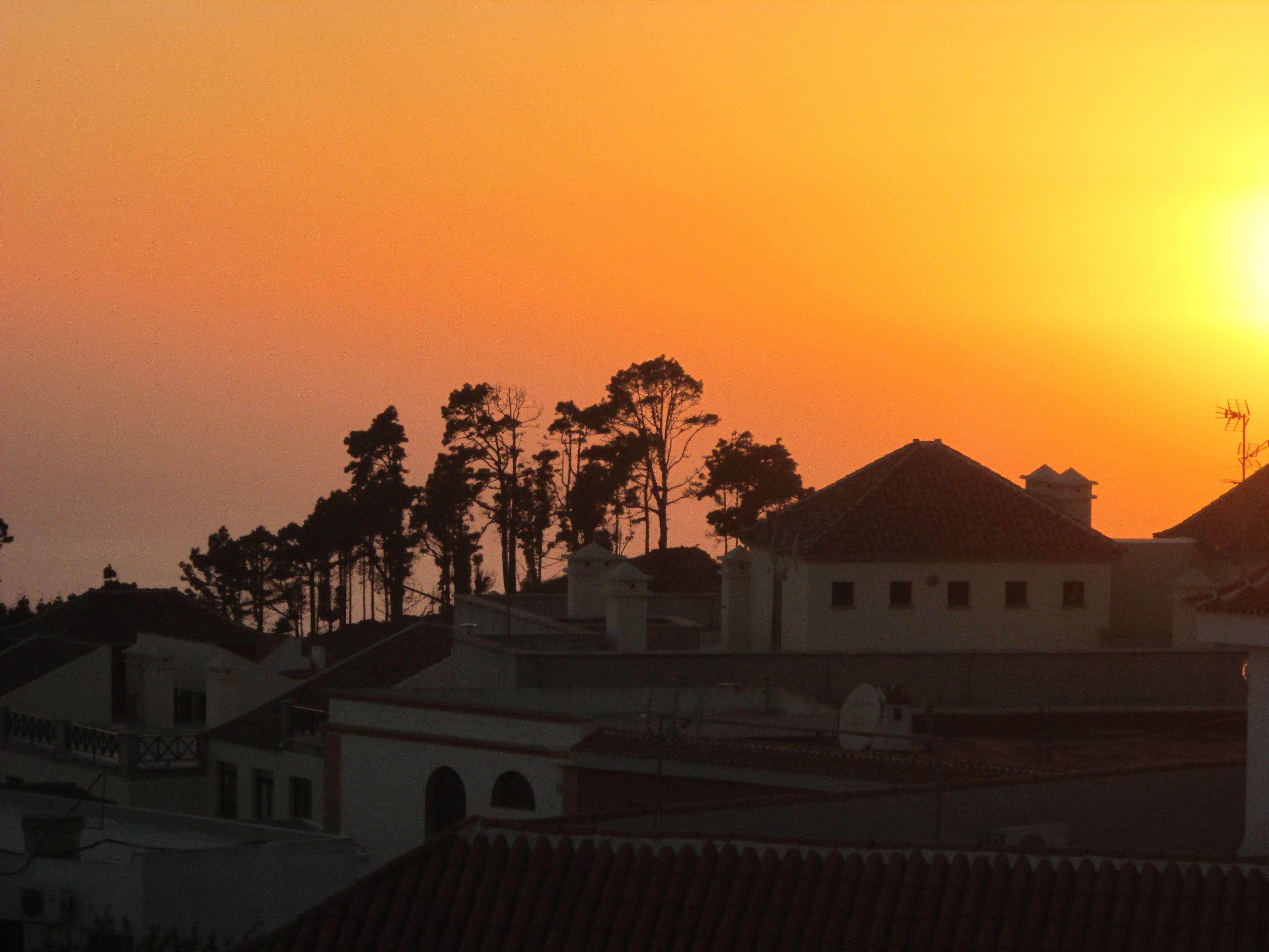 Foto - La Palma Hostel by Pension Central