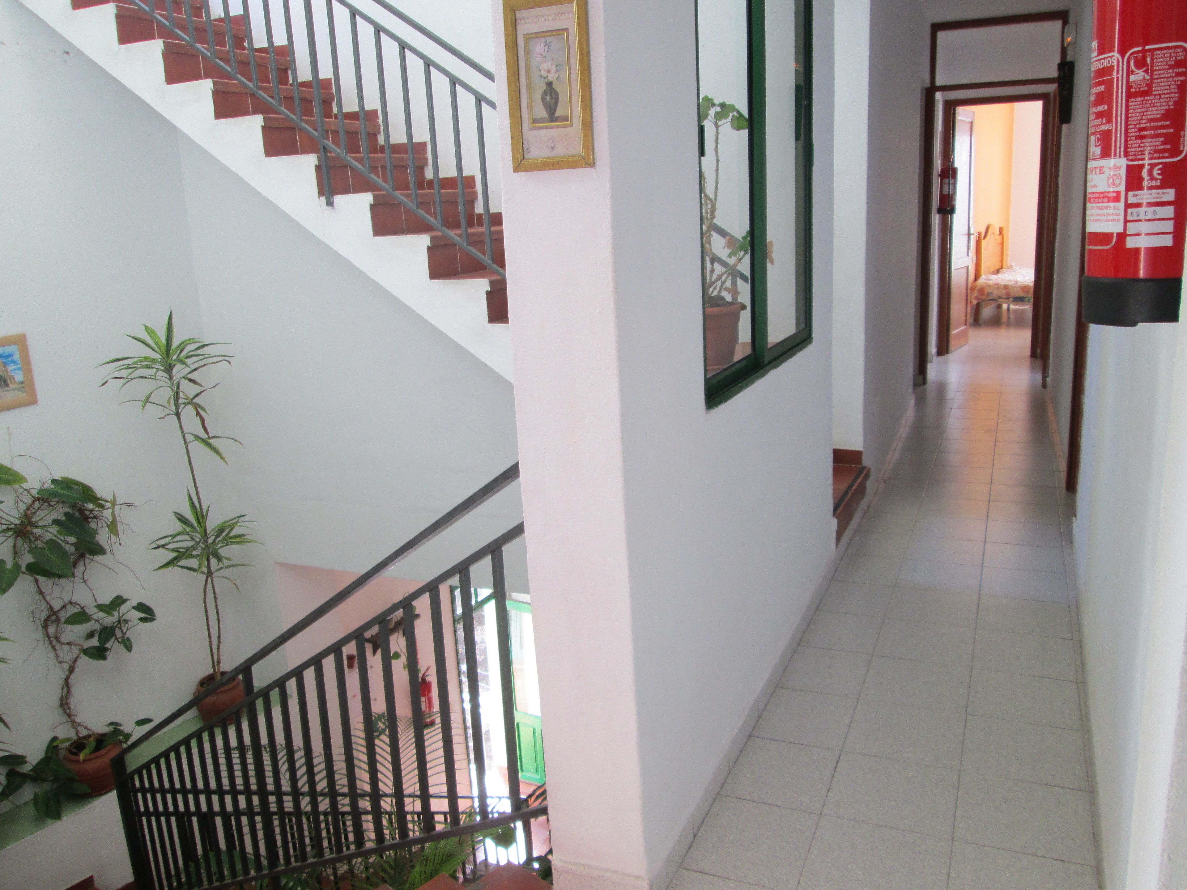 Foto - La Palma Hostel by Pension Central