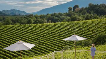 A terrace with a view of a vineyard, two white umbrellas, and a railing.