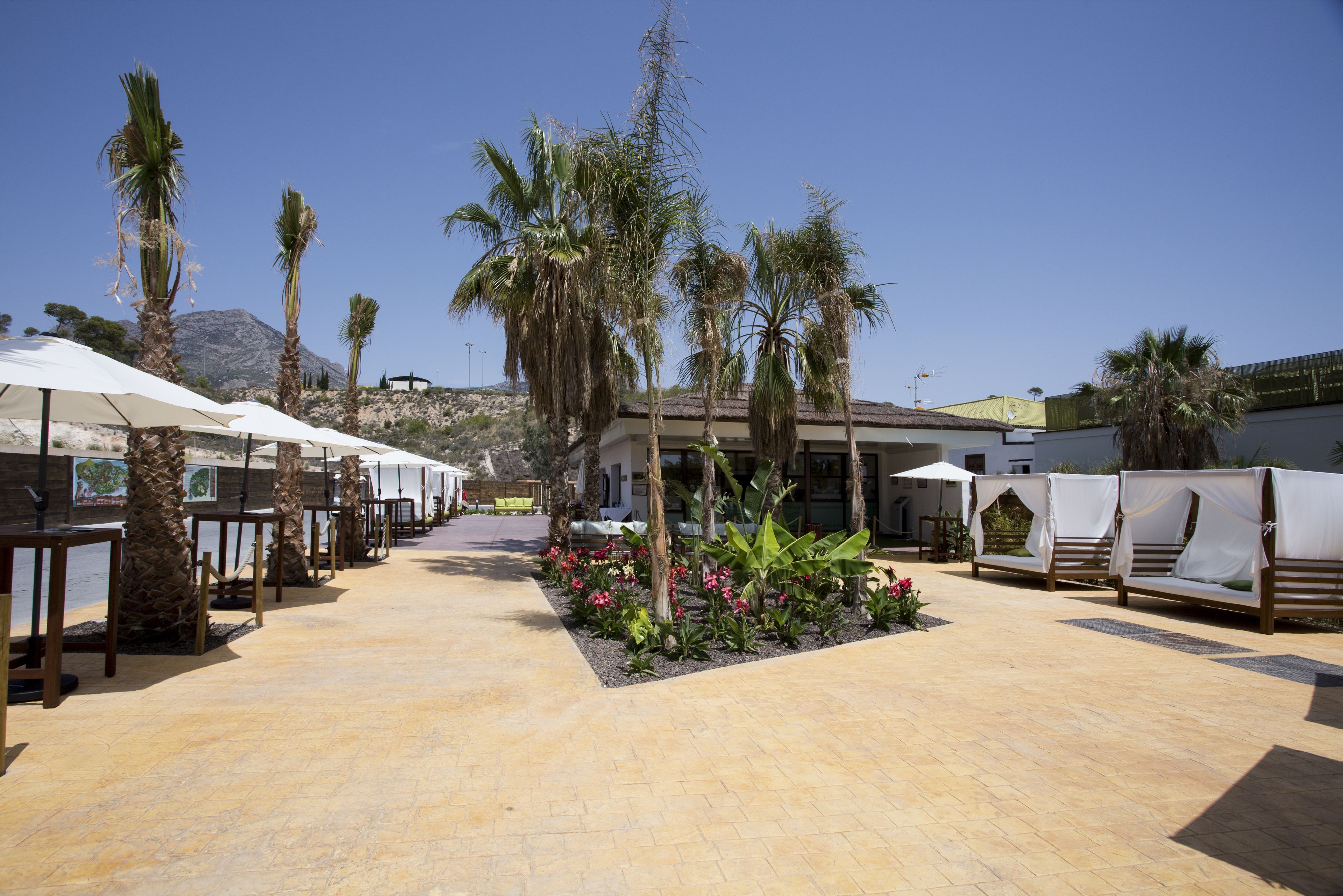 A courtyard with palm trees, outdoor seating, and a mountain in the background.