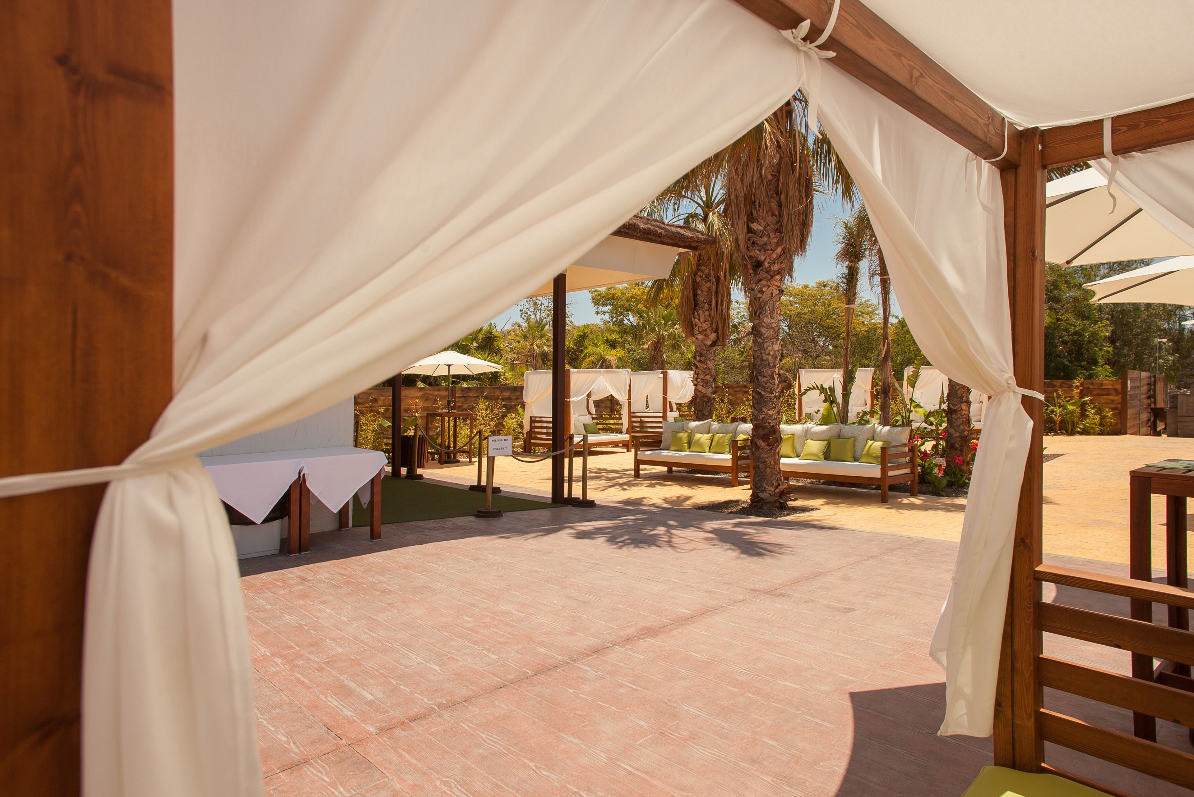 A covered outdoor seating area with wooden furniture and a palm tree.