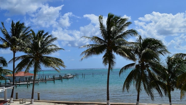 Una spiaggia con palme, un pontile e un cielo azzurro terso.