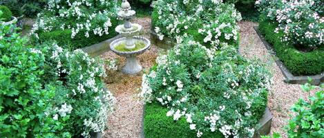 A garden with a central fountain surrounded by neatly trimmed bushes and trees.