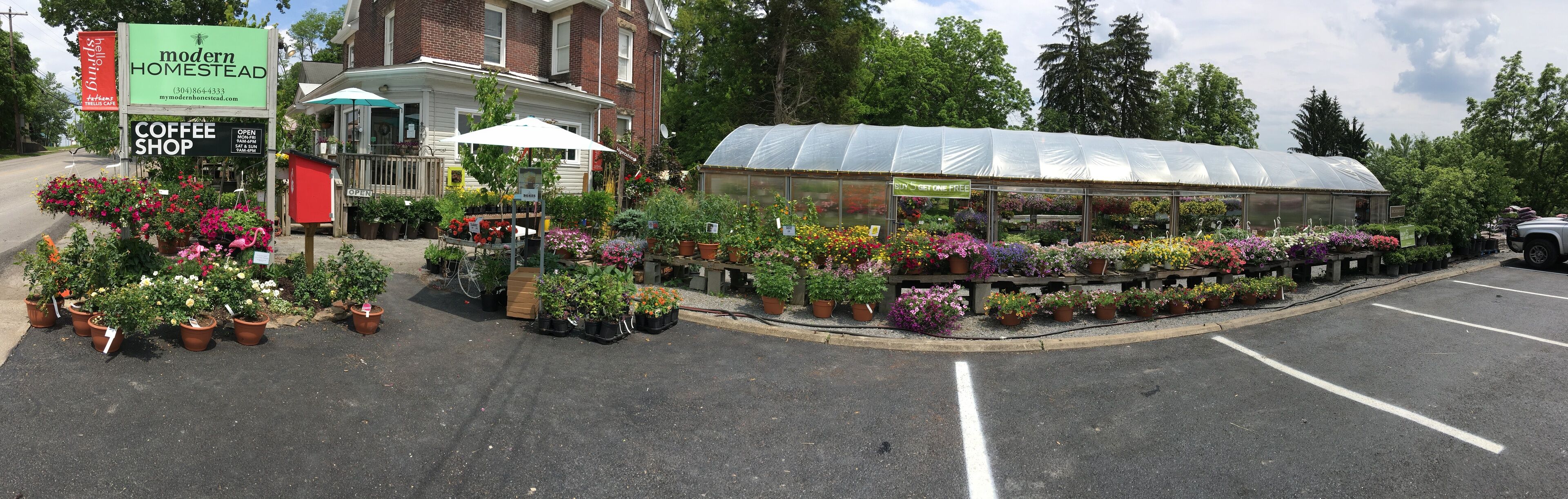 A greenhouse with a variety of potted plants and flowers, a coffee shop, and a brick building in the background.
