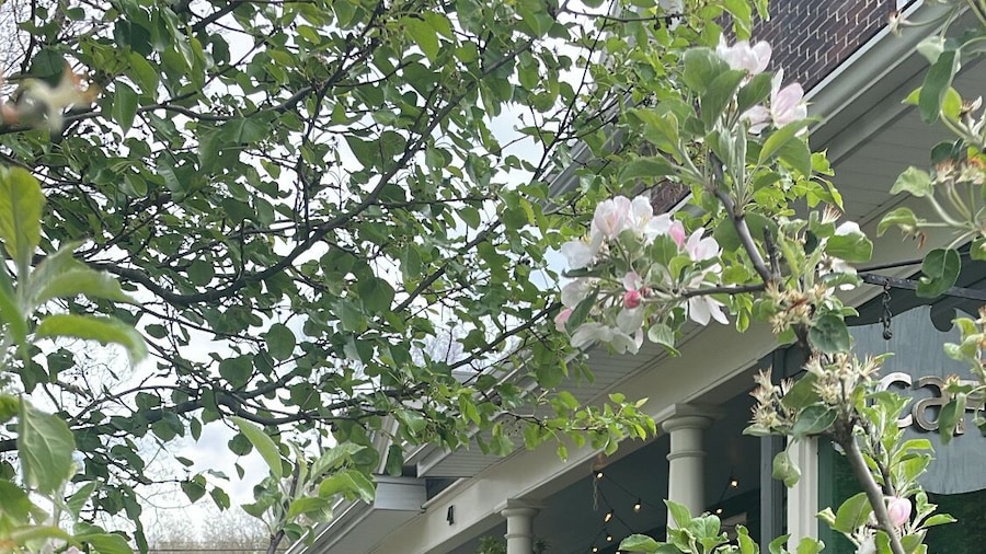 现代家园旅馆