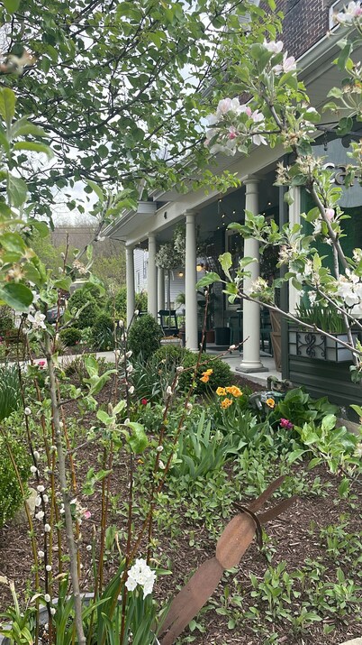 Modern Homestead Guest House