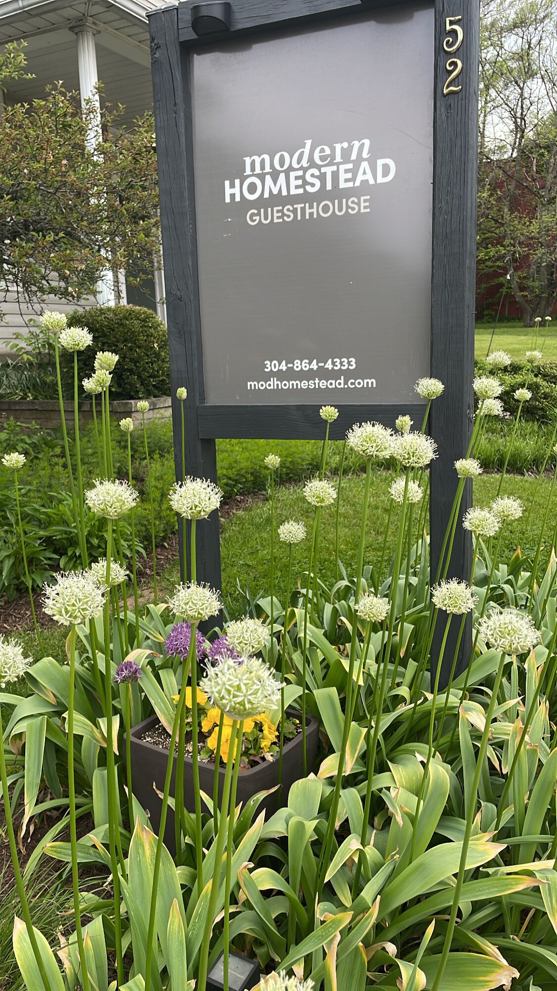 A sign for a modern homestead guesthouse with contact information and a website URL.